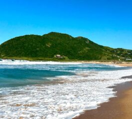 Desbravando a beleza intocada: A Praia do Silveira em Garopaba