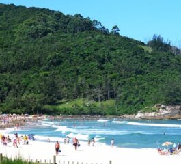 Descubra a beleza paradisíaca da Praia da Ferrugem em Garopaba