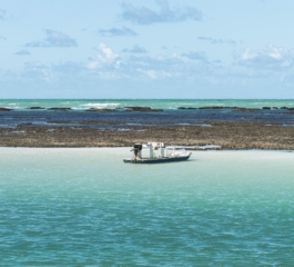 Desbravando as belezas de Maragogi: O paraíso das águas cristalinas em Alagoas